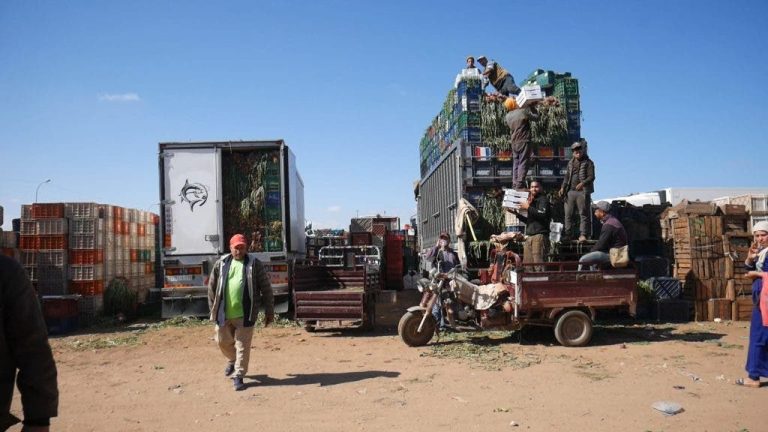 Inezgane .. The vegetable professionals on the wholesale market made a hit because of "casting"