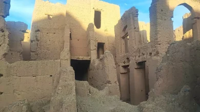 Akdz .. Historical oases and the reeds disappear silently awaiting central intervention (photos)