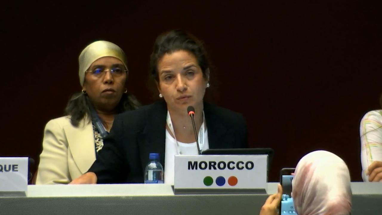 Participation of Morocco in the conferences of the parts of the conventions of Basel, Rotterdam and Stockholm (COPS-BRS) on chemicals and waste 3 Photo-2025-05-02-09-48-51_4.jpg