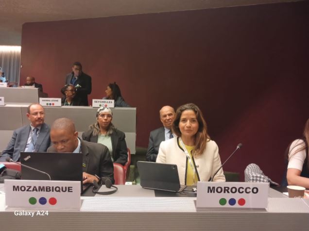 Morocco participation in the conferences of the parts of the conventions of Basel, Rotterdam and Stockholm (COPS-BRS) on chemicals and waste