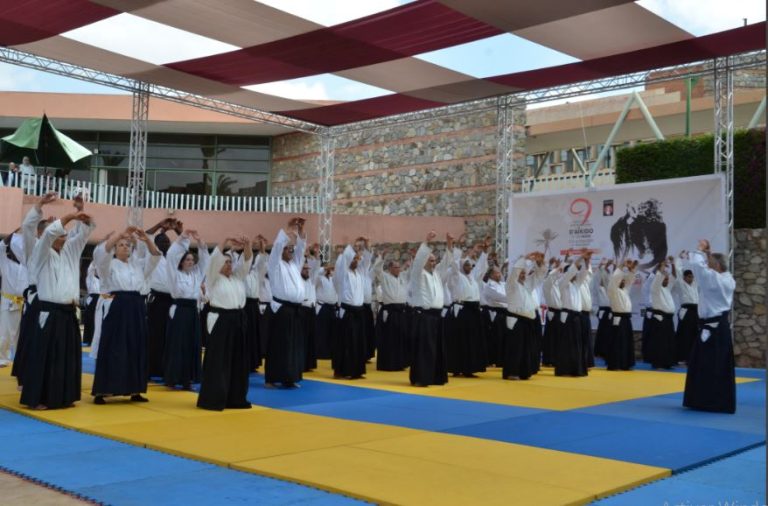 9th edition of the international meeting of Aikido and ugly day: quite simply ... beneficial