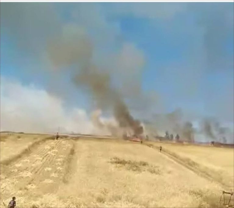 A fire broke out in an agricultural area of ​​the Ain Al -Sibah group in Khamisat (video)