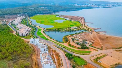 A green collapse in the heart of Marsika .. which is saved from the falsification project?