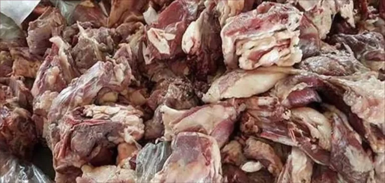 Al Hoceima .. thwarting an attempt to promote corrupt meat from Tangier