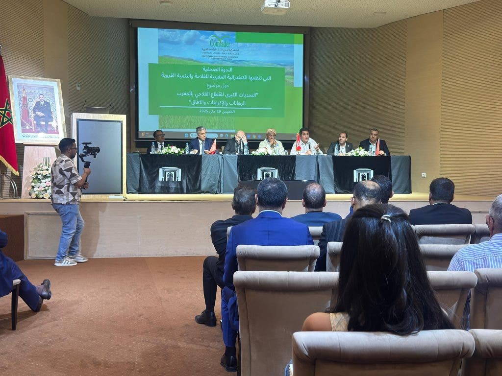 Benali: Thousands of farmers have benefited from the support of the state oriented towards the cultivation of tomatoes