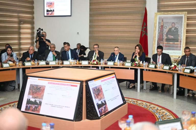 Benali signs a partnership agreement to complete the Sidi forest protection program, Maafa Boujda