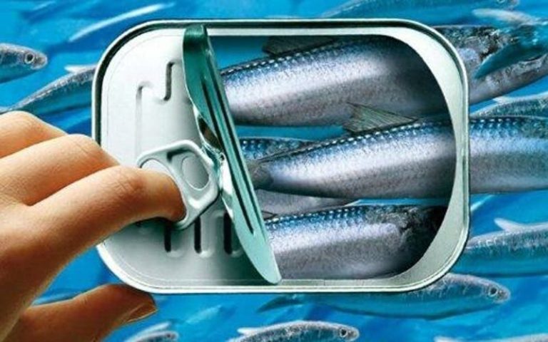 Council Council reveals a bond and manipulation on the industrial sardine market for 20 years