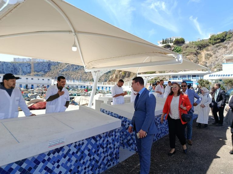 Fish merchants from the port of Al Hoceima benefit from modern stores