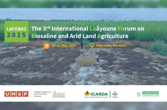 dès aujourd'hui à laàyoune: 3ème édition du Forum international sur l’agriculture biosaline et des Terres Arides (LAFOBA3)