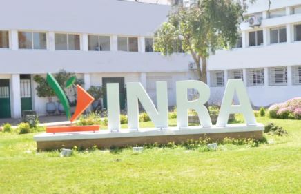 L’INRA et Syngenta présentent les résultats des essais réalisés dans le cadre de leur partenariat 2021 – 2024  