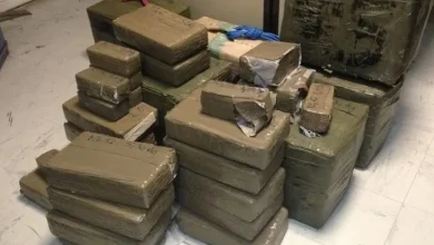 In an ambush tight at the crossing of Bani Ansar… thwarting the smuggling of 130 kg of hashish inside sugar cans