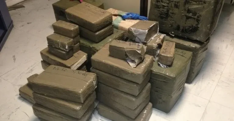 In an ambush tight at the crossing of Bani Ansar… thwarting the smuggling of 130 kg of hashish inside sugar cans
