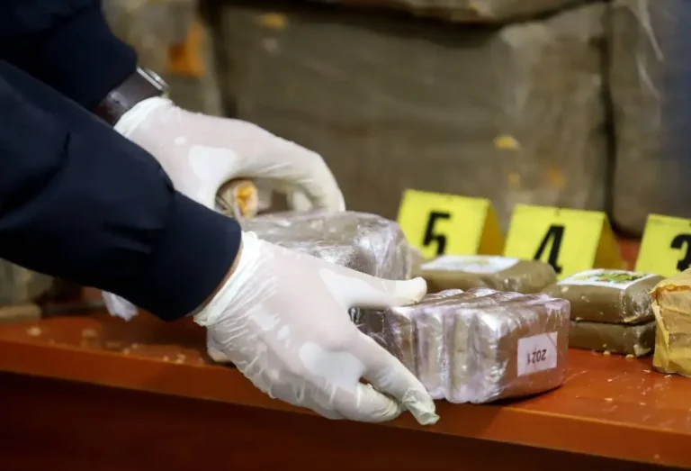 Introduction .. countens an attempted smuggling of 7.5 kilograms of cocaine inside a Moroccan immigrant car