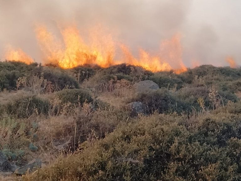 Jaradah .. a fire devouring parts of the Bani Ya Ali forest in the Al -wainat group