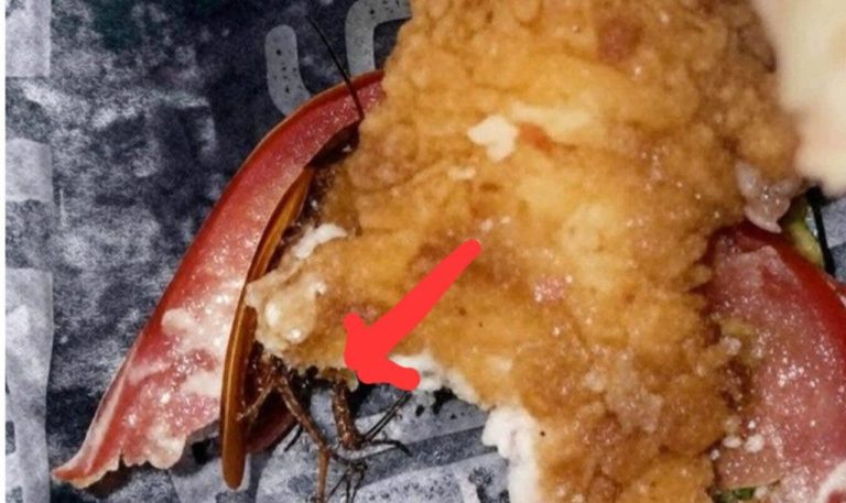 Restaurant in Franks with the aim of criticism after the insect "bodra" indeal