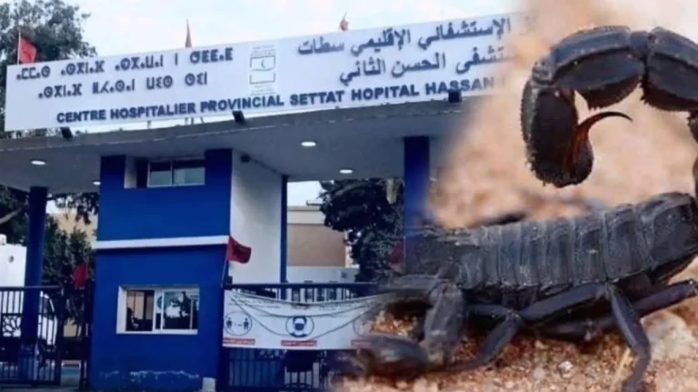 Settat .. Toxic Scorpion sends a teacher to the emergency