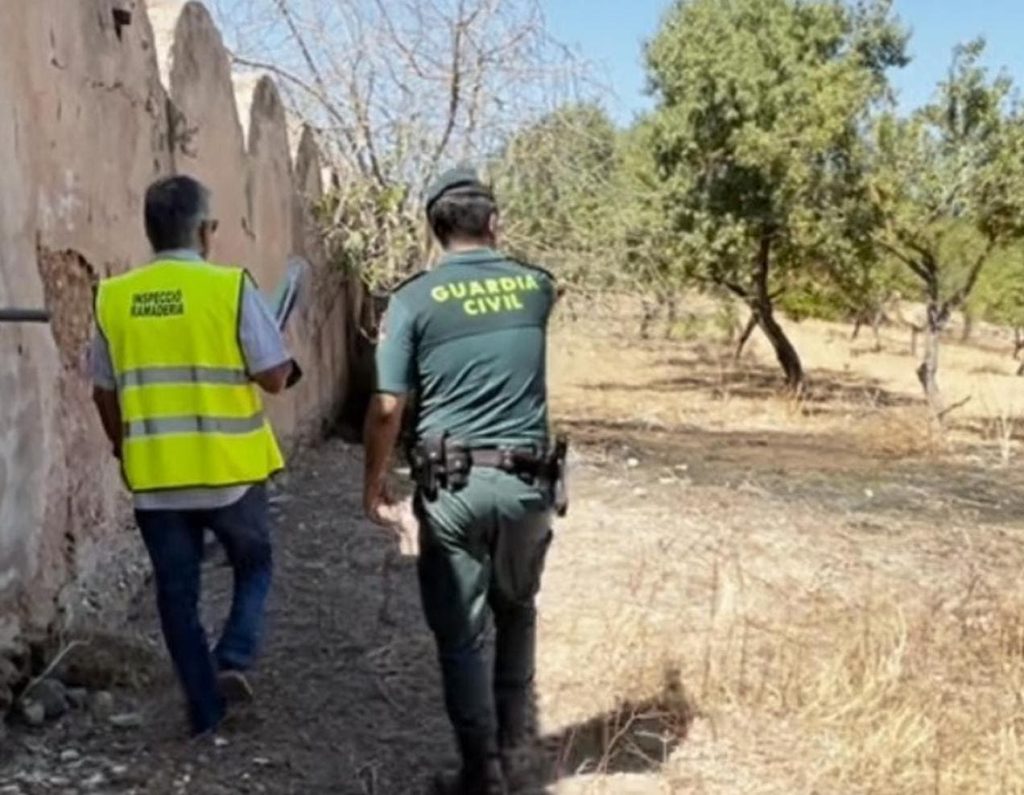The Moroccan community in Spain. Eid Al -Adha under the penalty of the secret sacrifice and a violation of 3000 euros!