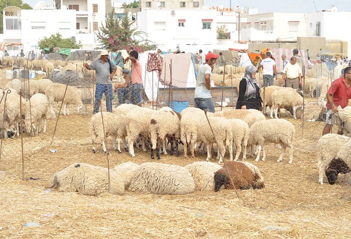 The Union of Consumers calls for adopting solidarity behavior to protect the national herd