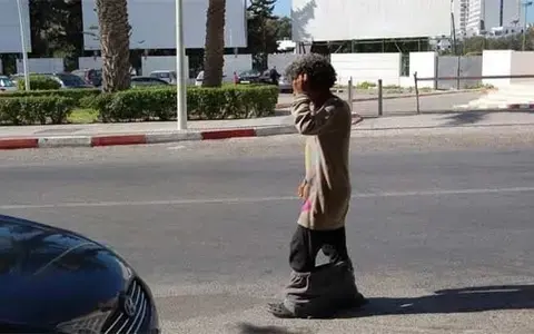 "حد السوالم و برشيد في خطر".. المئات من المختلين عقليا يتجولون في شوارع المدينتين