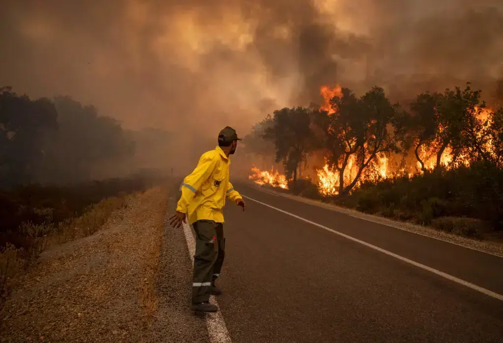 The expensive fires affected by fires in 2024 decreased by 86%