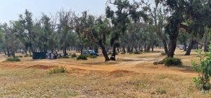 Cleaning and securing the Sidi Amira forest