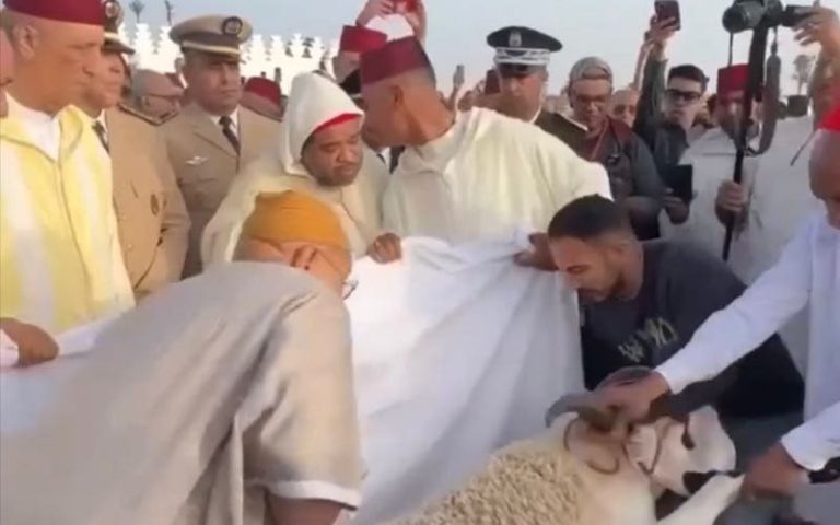 Who involved the governor of Marrakech Safi in the scandal of the sacrifice of the sacrifice of Eid? Photos
