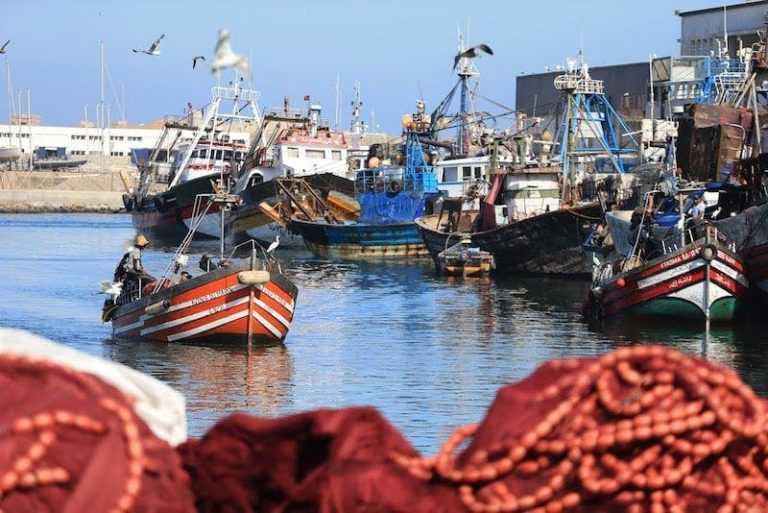 A Moroccan boat disappears in the hands of his crew and arrives in Spain to ask for asylum