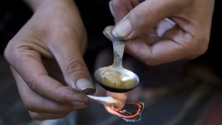 A blow against drug trafficking in Driosh