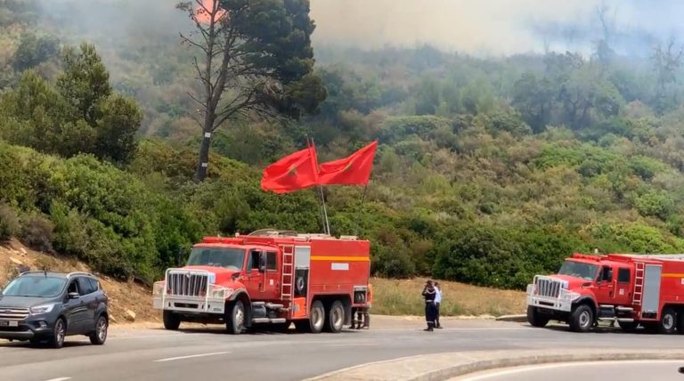 A large security alert due to a terrible fire in the Hosn forest between Tetouan and Tangier