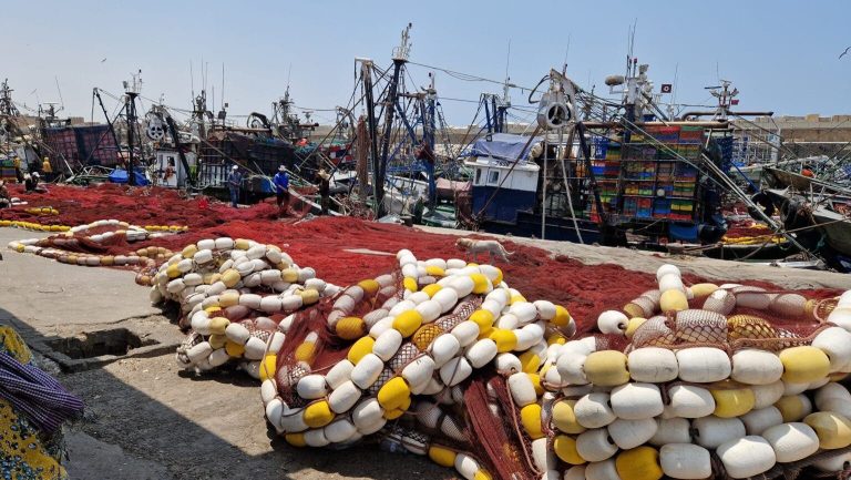 A temporary stop for fishing boats on the kingdom's coast during Eid Al -Adha