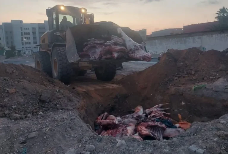 A truck loaded with 3.7 tonnes of corrupted red meat on the outskirts of al-Bayda