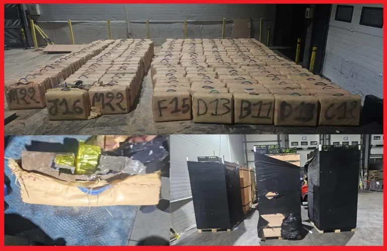 Abortion of a smuggling attempt of more than 7 tonnes of drug al -shira by Tangier