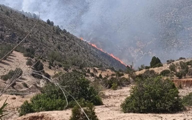 Al -Hoceima .. a fire in the "Thanid Ern" forest and continuous efforts to turn it off