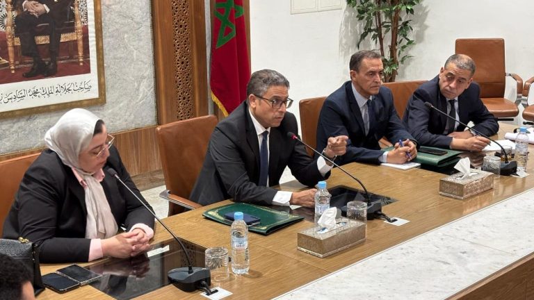 Benchhekhi calls urgent interventions to fight stray dogs in Marrakech