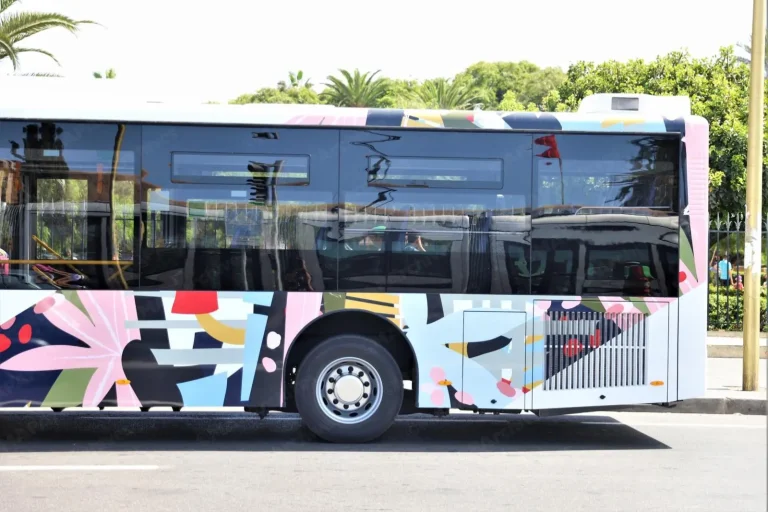From July, the Ministry of Transport is launching new digital services for the benefit of road transport professionals