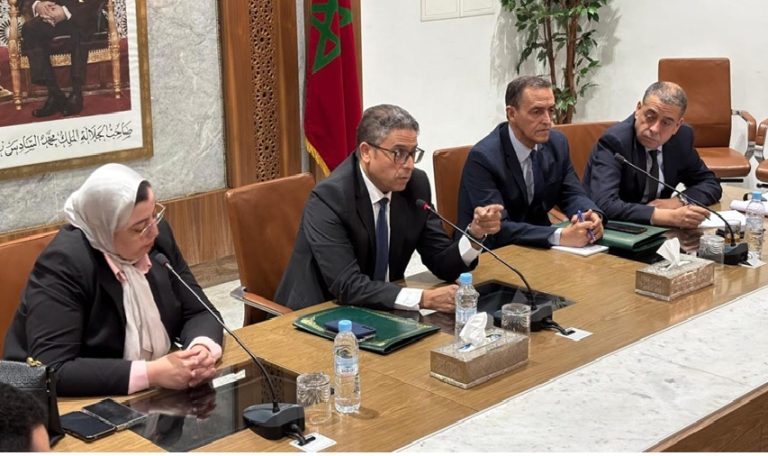 Marrakech: Bencheikh calls for urgent interventions against the proliferation of stray dogs