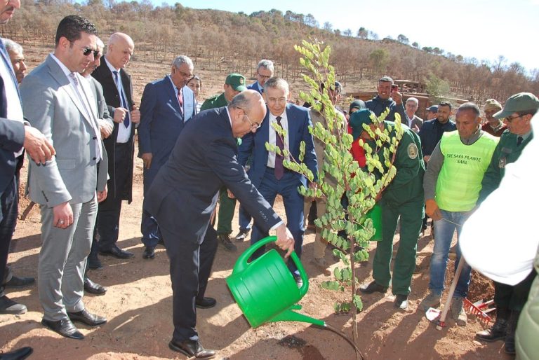 Oujda beautifully photographed through an integrated project to develop the urban forest