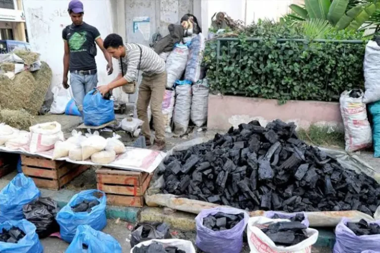 Record stagnation on the coal markets in Morocco after cancellation of the sacrifice ritual