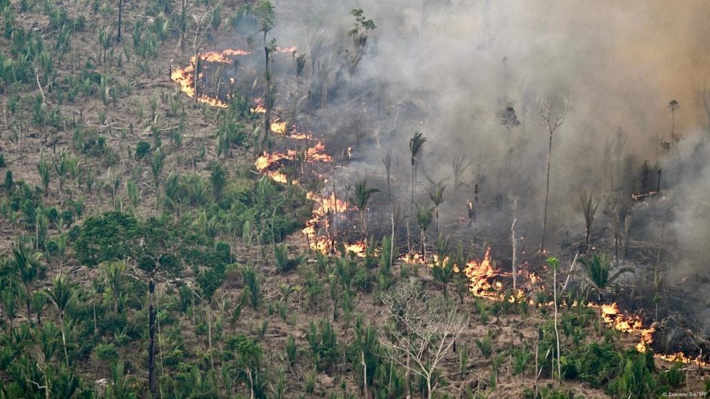 Recording 8 fires in one day and the water and forest agency calls for caution and caution