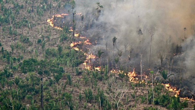 Recording 8 fires in one day and the water and forest agency calls for caution and caution