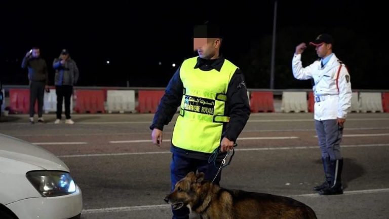 Sidi Allal Al -Bahrawi .. Reservation 900 hallucinogenic tablets in a joint security operation
