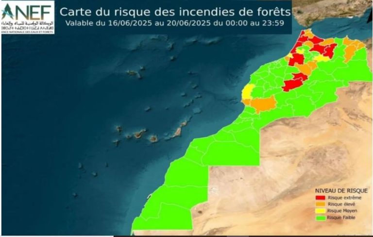 Situation of forest fires - Reminder of the national alert at the extreme risks issued by the ANEF