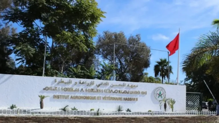 Students of the Hassan II Institute for Agriculture and the Veterinary Protest against "Travel"
