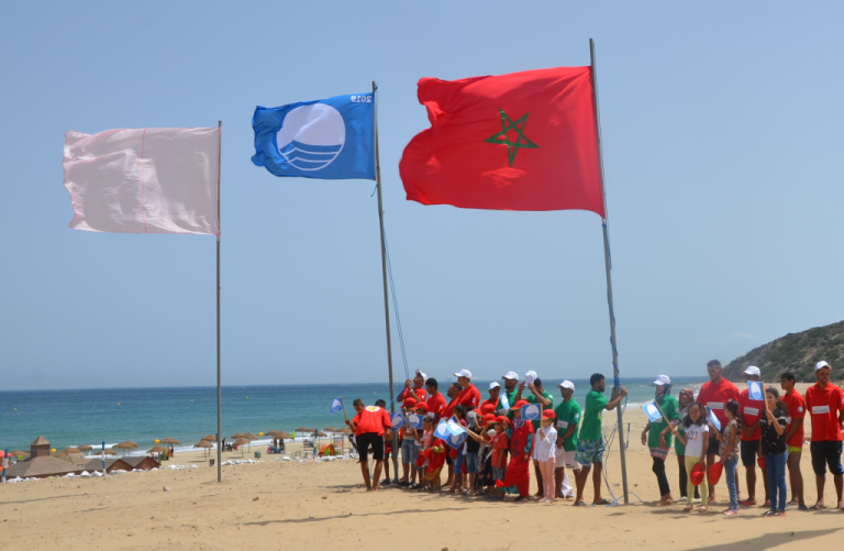 Summer 2025 .. The Blue Plush Brigade in 28 beaches, 4 ports and lakes in Morocco