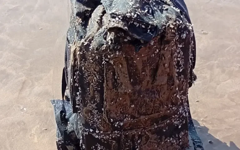 The Atlantic Ocean pronounces on the new beaches a bag inside cocaine