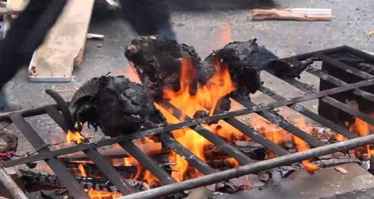 The authorities warn the ovens of sacrificial heads during Eid Al -Adha