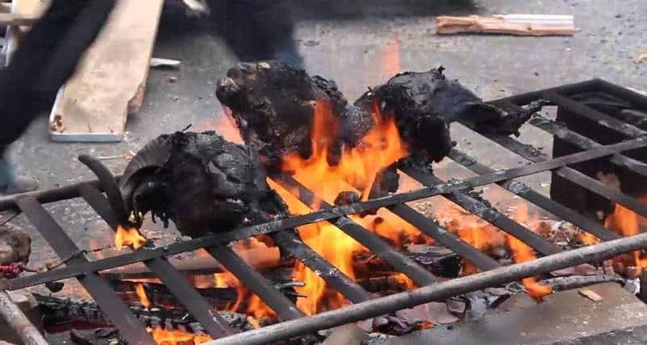 The authorities warn the ovens of sacrificial heads during Eid Al -Adha