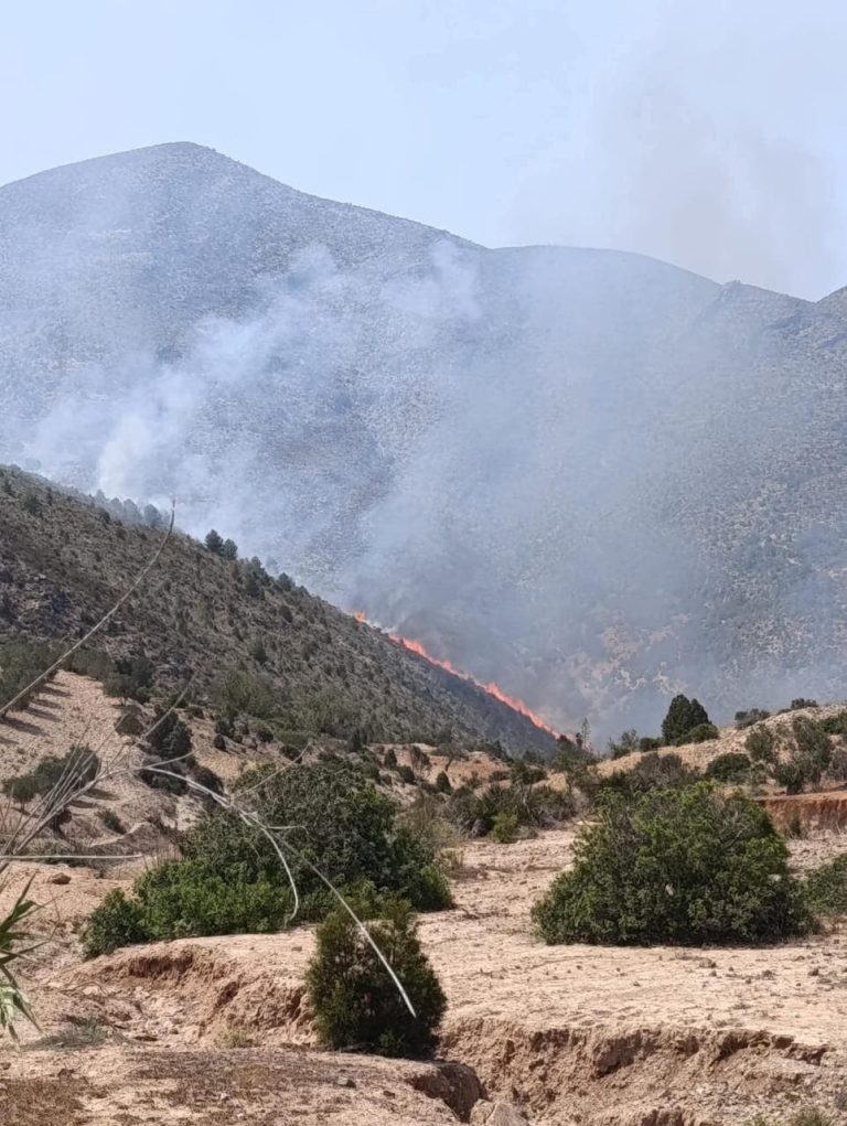 The outbreak of a fire in the "Tharan Erban" forest in the Al-Hoceima region
