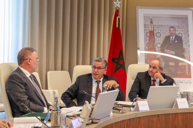 University reform and labor market at the Akhenouch government table