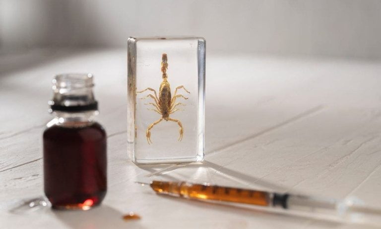 Venom de Scorpion .. the liquid sold in the most precious of gold